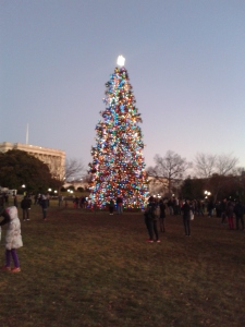 Christmas Tree at Washington DC